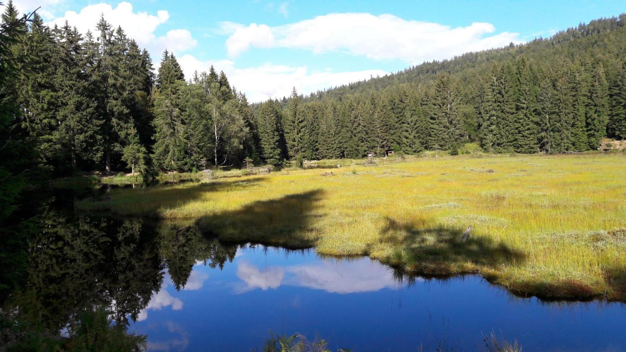 Fewo-Harlachberg-Blick-1 Боденмайс Екстериор снимка